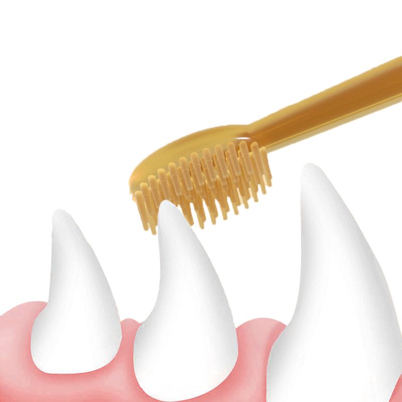 Cat Silicone Toothbrush Dog Toothbrush Set Pet Dental Care Cat Teeth