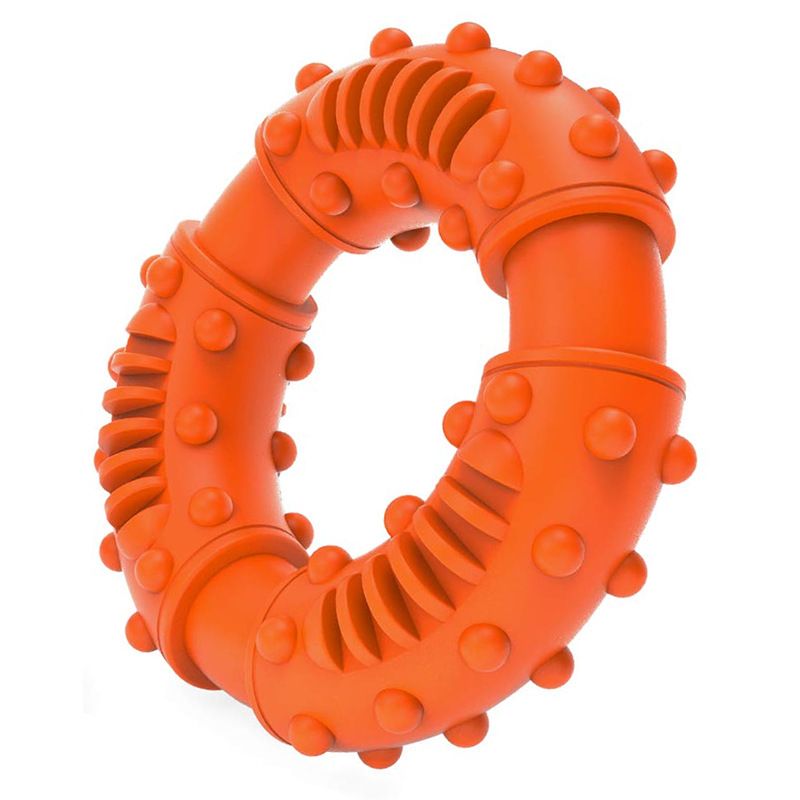 Dog Pet Supplies New Dental Chewing Resistant Rubber Interactive Circle Dog Toy