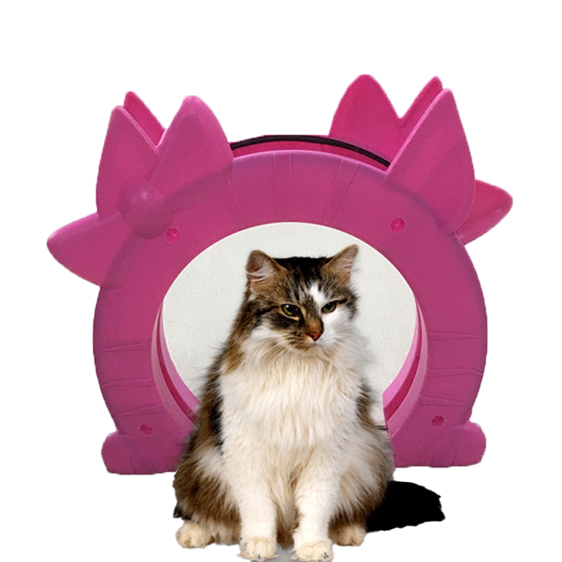 Cat doors, cat holes, dog doors, smart pet doors that allow pets to enter and exit freely. Cat and dog kennels.