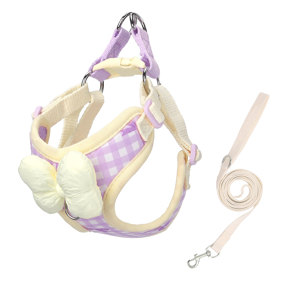 New lightweight small dog leash with checkered print, designed for outdoor dog walking.