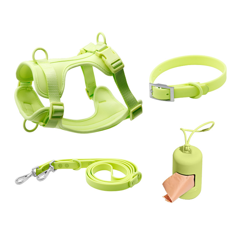 PVC dog collar and leash set for small dogs (4-piece set)