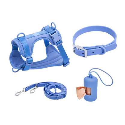PVC dog collar and leash set for small dogs (4-piece set)