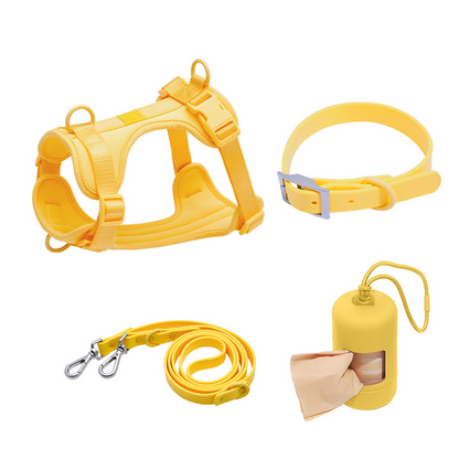 PVC dog collar and leash set for small dogs (4-piece set)