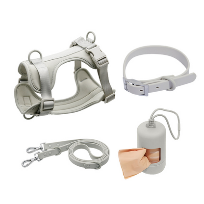 PVC dog collar and leash set for small dogs (4-piece set)