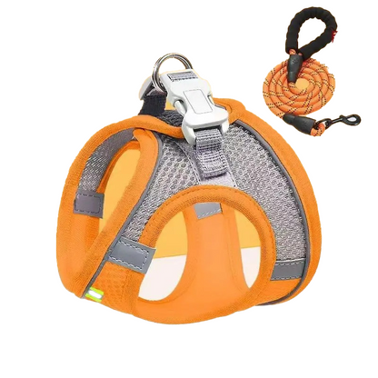 Small breed puppy leash, extra-small Yorkshire Terrier, teacup dog, 1 pound dog leash, Miniature Pinscher.