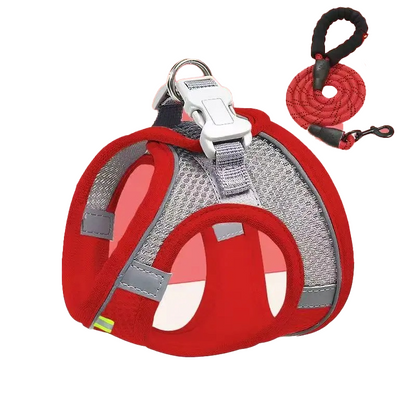 Small breed puppy leash, extra-small Yorkshire Terrier, teacup dog, 1 pound dog leash, Miniature Pinscher.