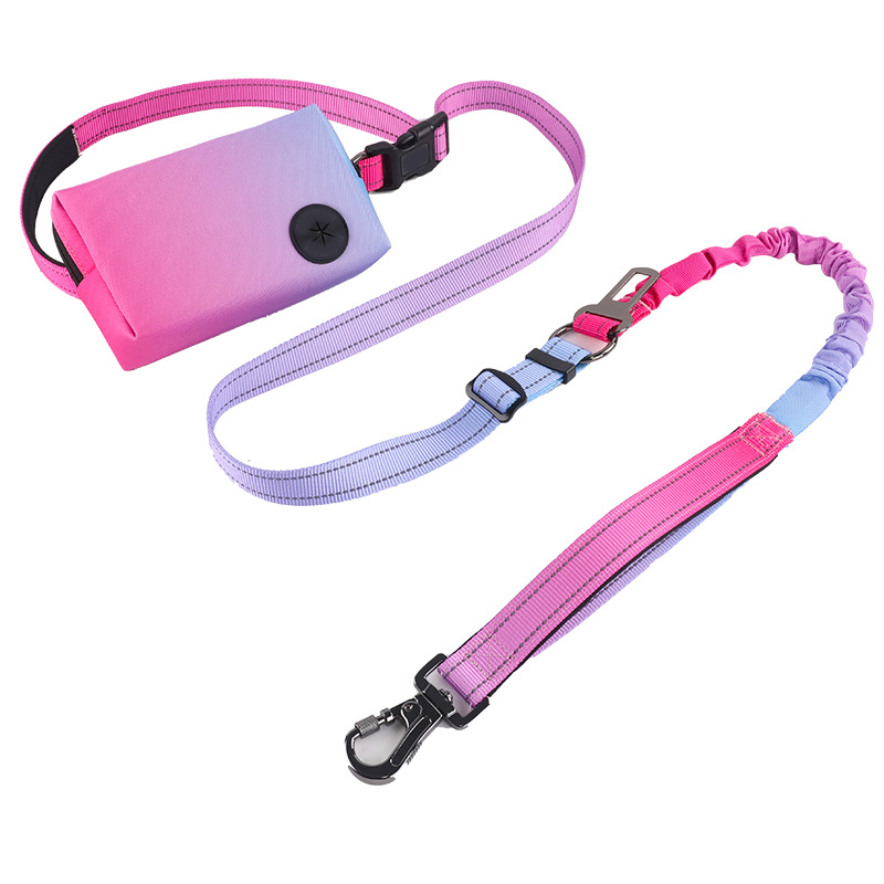 Pet leash explosion-proof waist pack portable dog running reflective leash