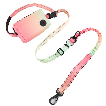 Pet leash explosion-proof waist pack portable dog running reflective leash