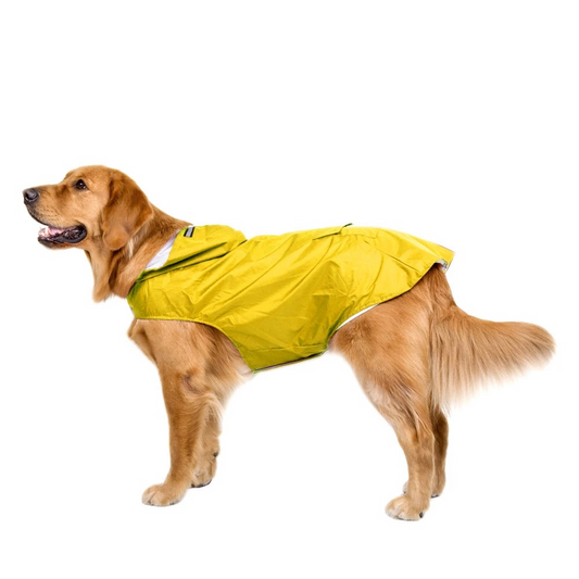 Pet raincoat, waterproof dog clothes, leash, rain protection for Corgis, Teddy dogs, large dog raincoats, and windproof jackets.