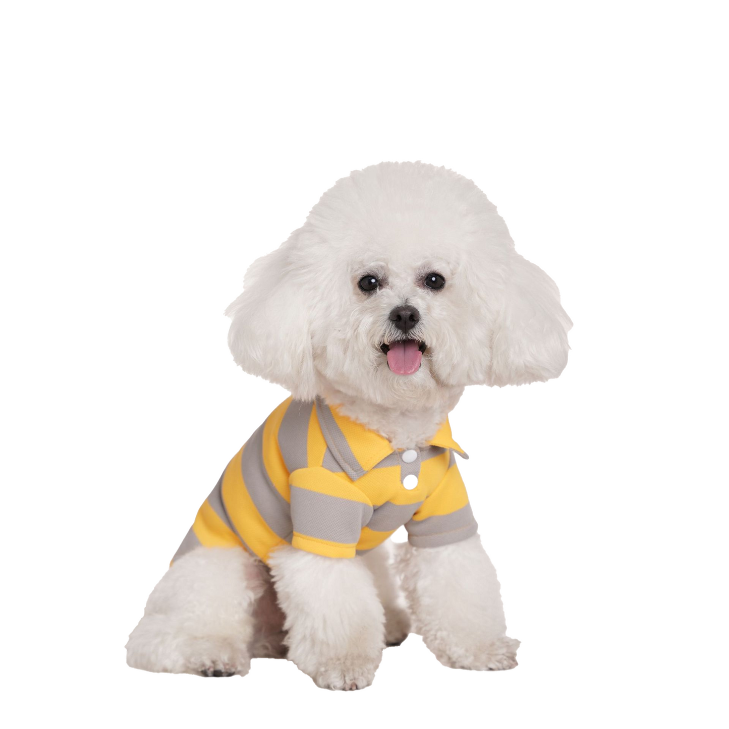 New spring/summer pet cat polo shirt with striped pique collar stretch T-shirt and dog striped clothing