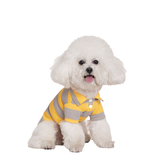 New spring/summer pet cat polo shirt with striped pique collar stretch T-shirt and dog striped clothing