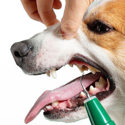 New Pet Dental Stone Removal and Household Cleaning Dog Cat Electric Ultrasonic Toothbrush