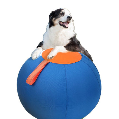 Dog Toy Inflated Large Ball Golden Retriever Tear-Resistant Ball Chewing and Distraction Ball Teasing for Cocker Spaniels and Poodles Self-Amusement Pet Training Ball