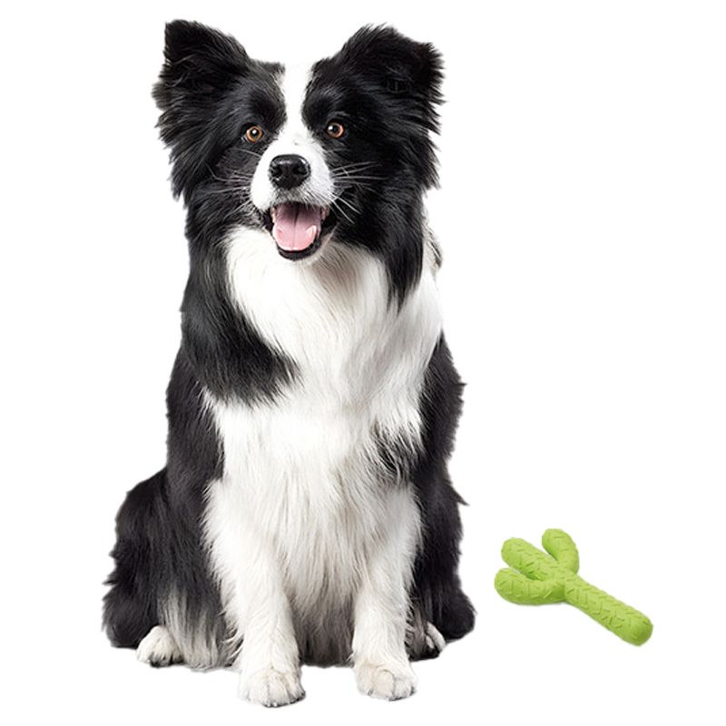 Dental Grinding Dog Toy Cactus Self-Entertainment for Dogs Rubber Large Breed Pet Supplies