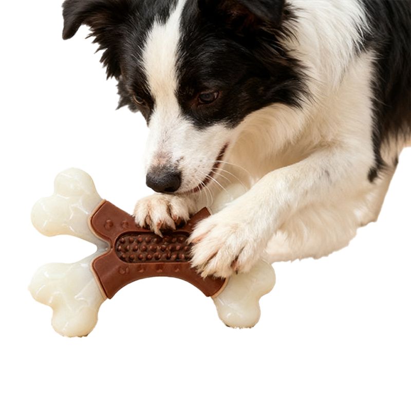 Dog Self-Entertainment Toy Dental Bone Durable and Not Easily Chewed for Training Dogs to Bite and Grind Their Teeth