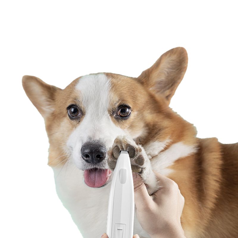 Pet Foot Clippers, Cat Clippers, Dog Foot Trimmer, Teddy Bear-Lit Dog Hair Trimmer, and Supplies