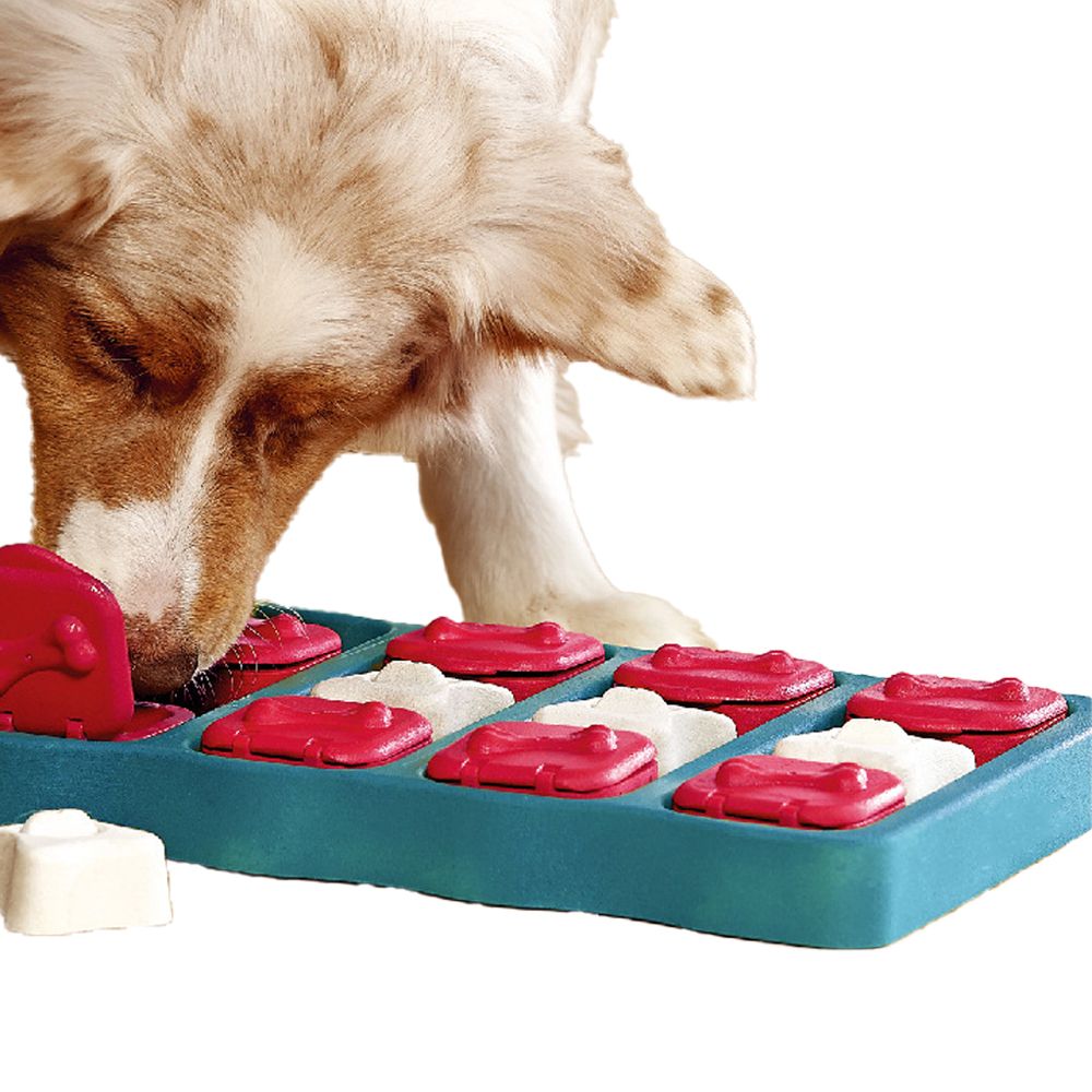 Cool Pet Toy Mobile Treasure Box Dog Supplies Direct Sales Puzzle Food Toys Puzzle Toys