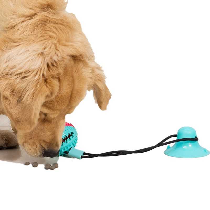 Dog toys that are resistant to chewing and gnawing, a pet entertainment device for relieving boredom, a puppy's self-biting play with suction cups, tug-of-war pulling force, and a food leakage ball.