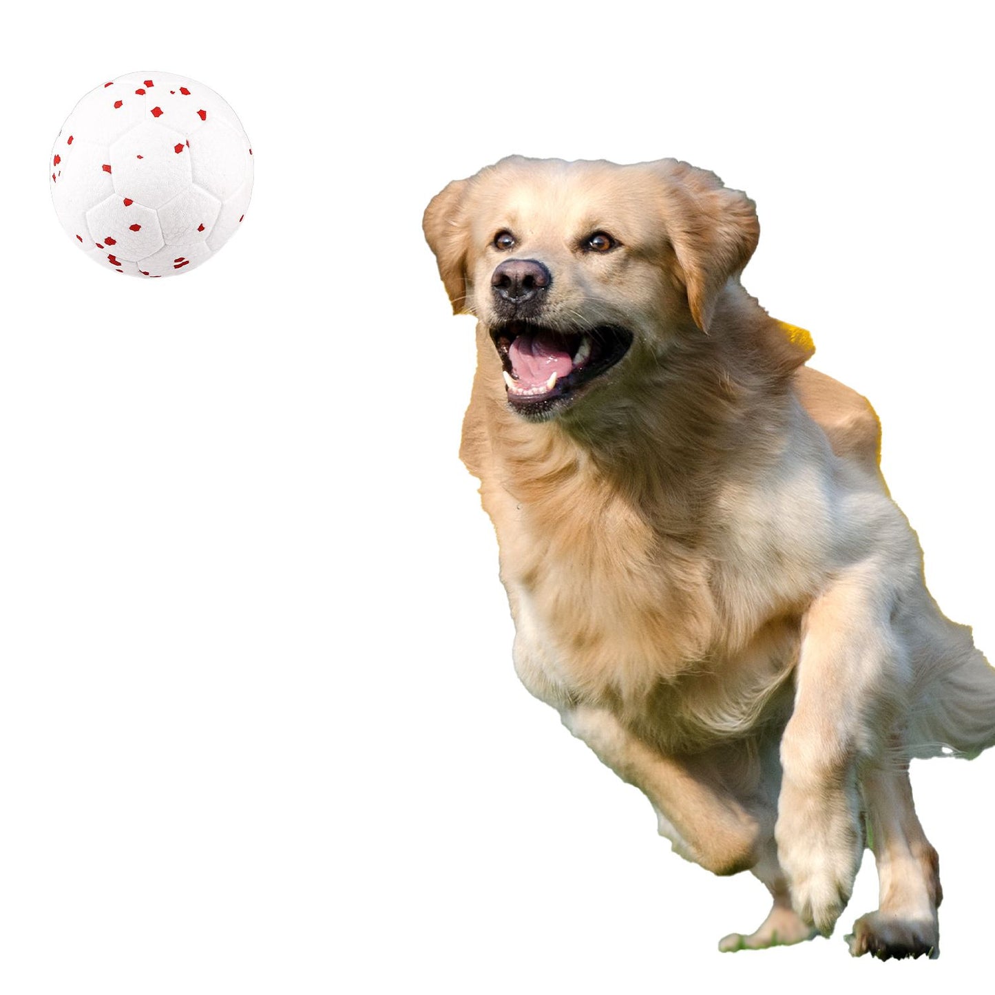 Dog Toy Ball Pet Interactive Toy Teasing Dog Durable for Chewing and Grinding Teeth Lightweight High Elasticity