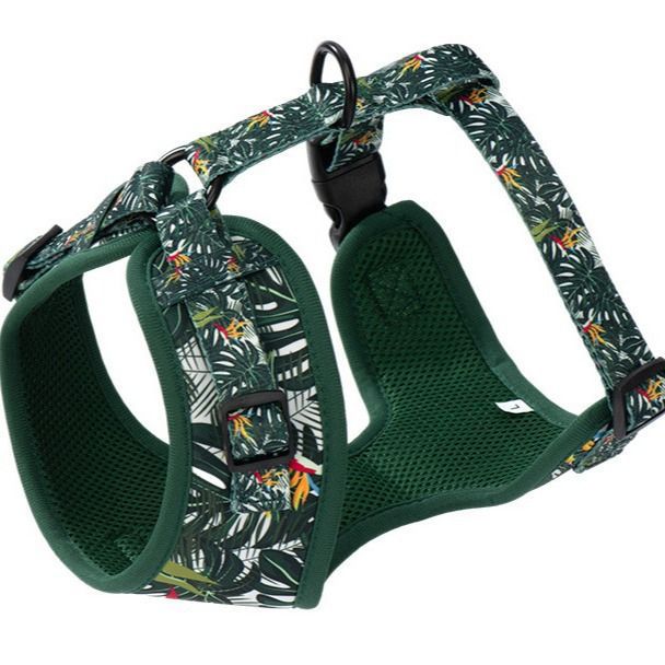 Harley's Chest and Back Pet Leash Set Dog Leash Set Pet Dog Collar