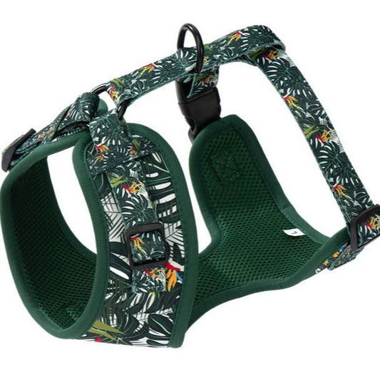 Harley's Chest and Back Pet Leash Set Dog Leash Set Pet Dog Collar