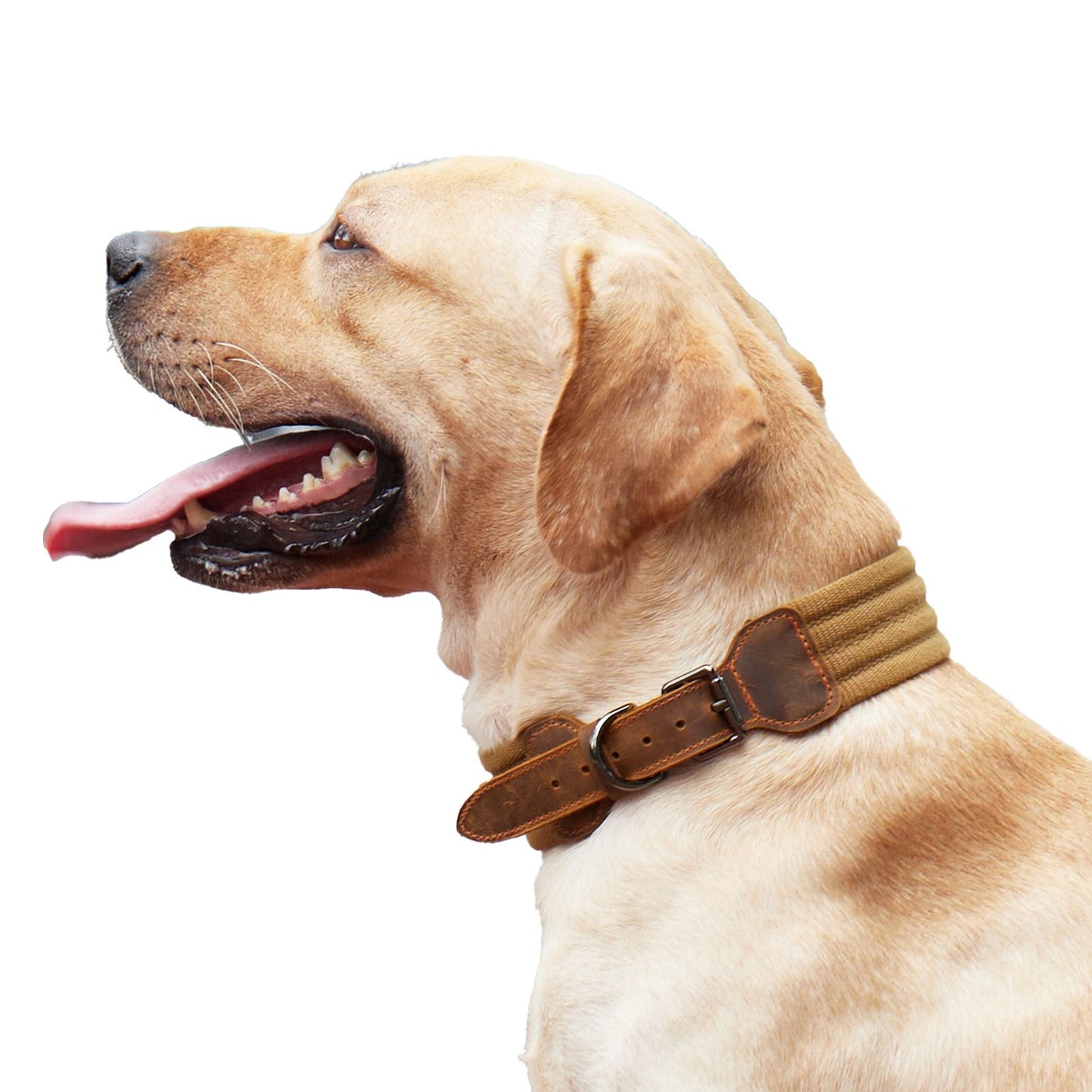 Dog leather collar, medium and large breed dog neck collar, golden retriever, maltese, German shepherd neck collar, neck strap, leather dog collar