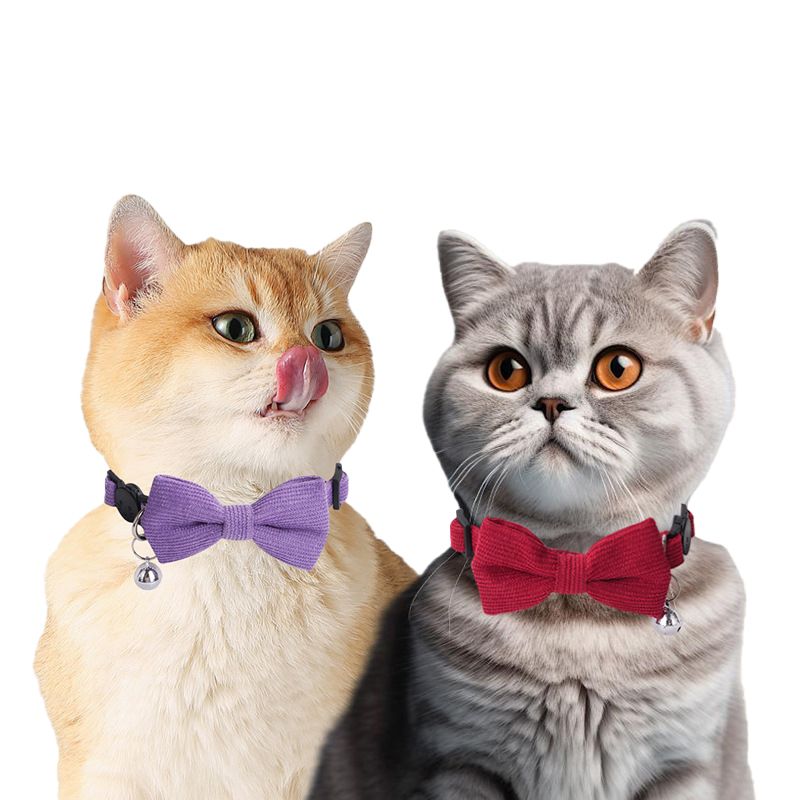 New bow pet collar, cat neck collar safety buckle, cat bell anti-choking collar, puppy collar