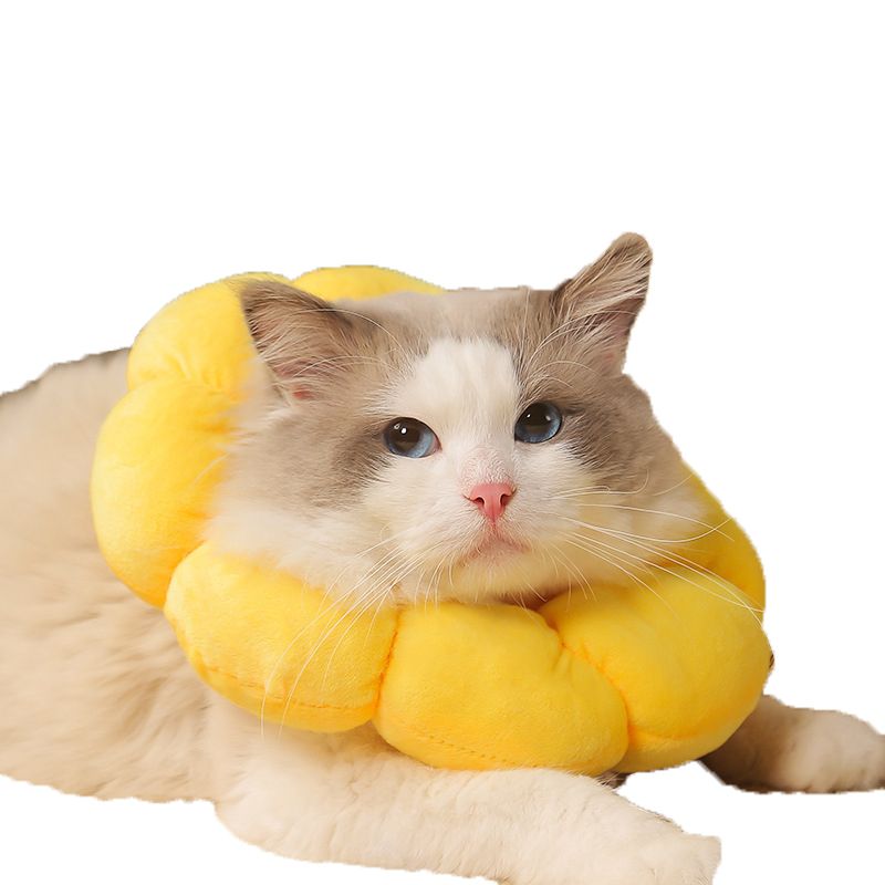 Sunflower Elizabethan collar, pet cat collar, dog neck collar, sterilization shame collar, anti-licking and scratching head cover