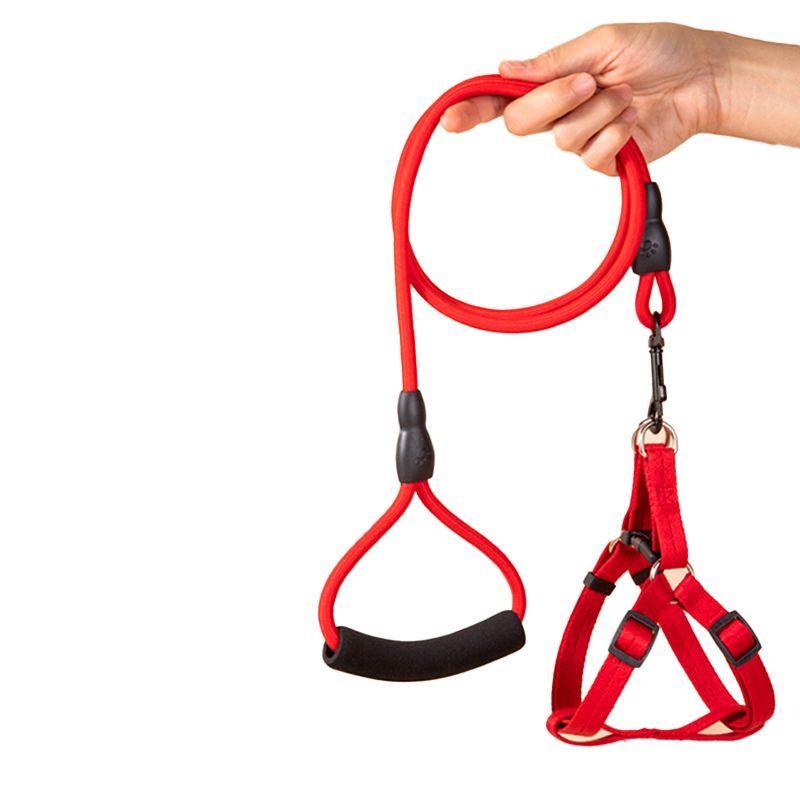 Dog leashes, sizes for large, medium, small dogs and puppies, walking ropes, dog chains, chest harnesses, collars, and pet supplies for teddy bears, golden retrievers.