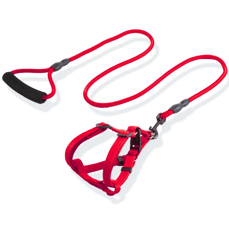 Dog leashes, sizes for large, medium, small dogs and puppies, walking ropes, dog chains, chest harnesses, collars, and pet supplies for teddy bears, golden retrievers.