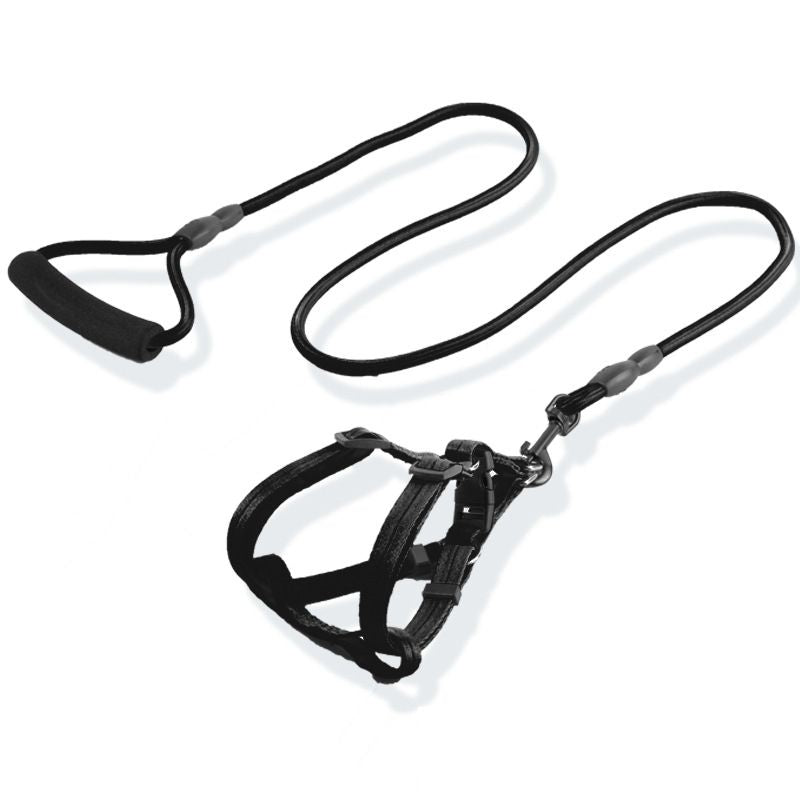 Dog leashes, sizes for large, medium, small dogs and puppies, walking ropes, dog chains, chest harnesses, collars, and pet supplies for teddy bears, golden retrievers.