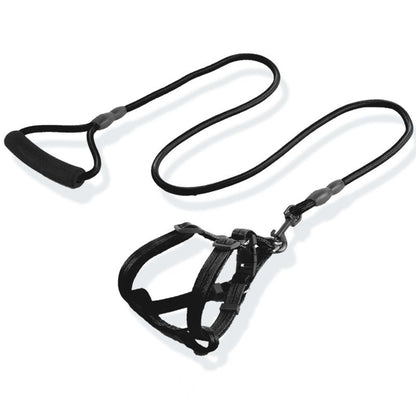 Dog leashes, sizes for large, medium, small dogs and puppies, walking ropes, dog chains, chest harnesses, collars, and pet supplies for teddy bears, golden retrievers.