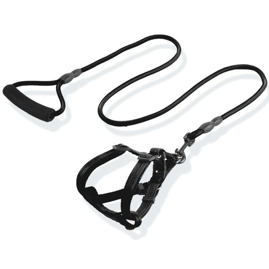 Dog leashes, sizes for large, medium, small dogs and puppies, walking ropes, dog chains, chest harnesses, collars, and pet supplies for teddy bears, golden retrievers.