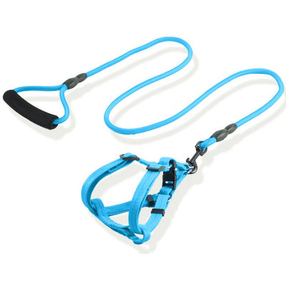 Dog leashes, sizes for large, medium, small dogs and puppies, walking ropes, dog chains, chest harnesses, collars, and pet supplies for teddy bears, golden retrievers.