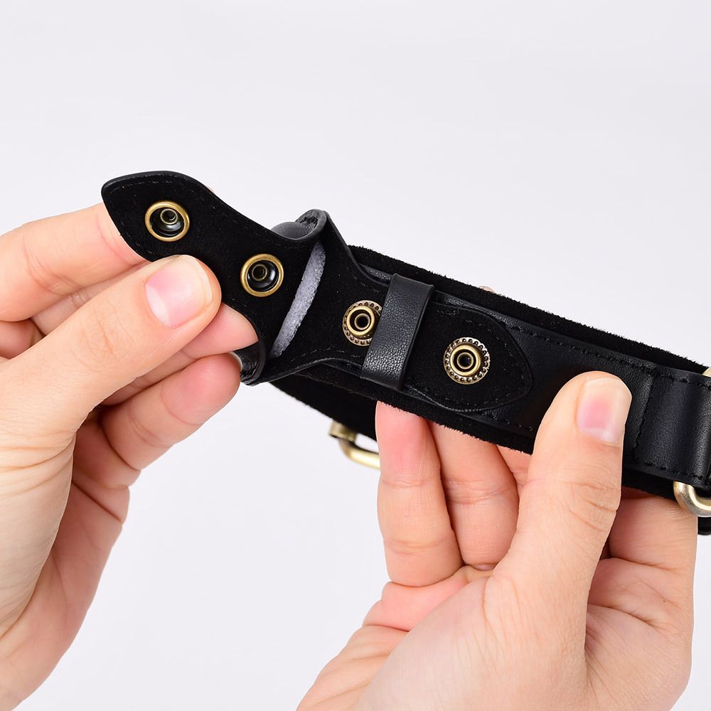 Apple Tracker Airtag Pet Dog Collar Leash for Medium to Large Dogs