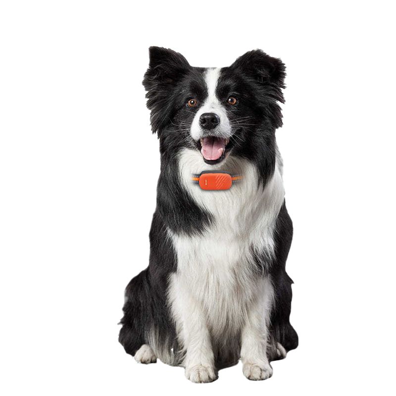 Pet locator GPS tracker dog cat smart anti-lost positioning magic tool