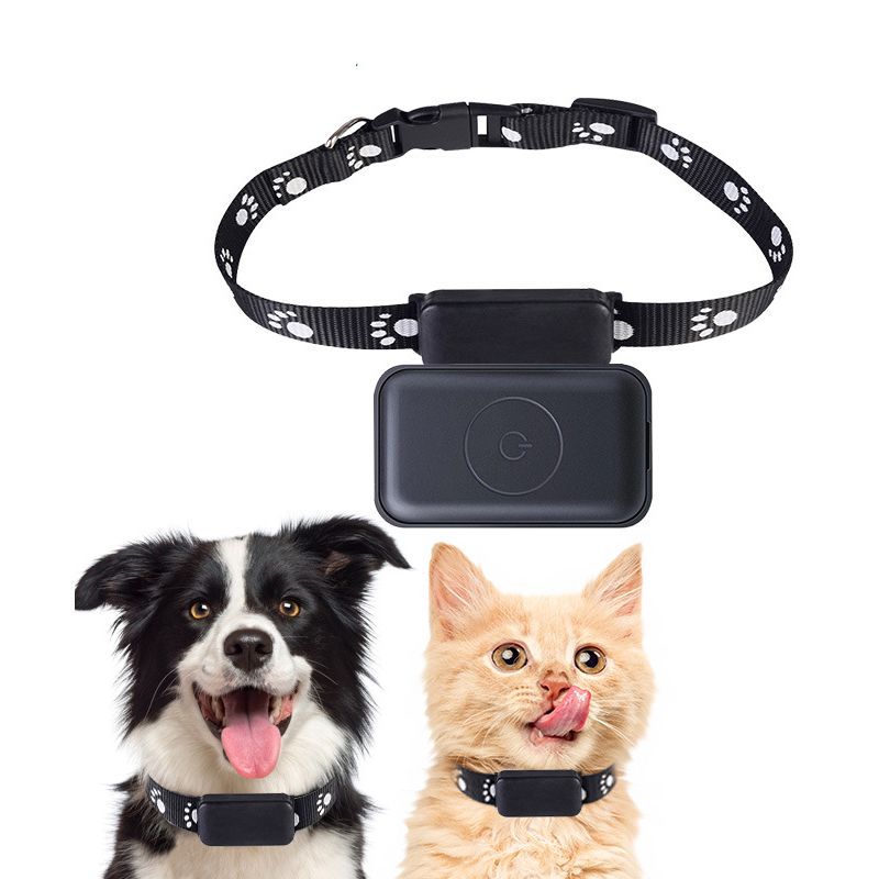 Smart Wireless New Tracker for Cats and Dogs with Detachable Leash, Anti-Lost Collar, Pet Tracker