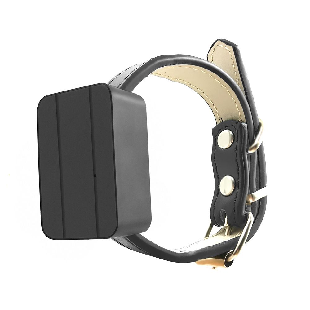 Pet Locator CJ230 Cat and Dog Tracker GPS Locator Remote Inquiry